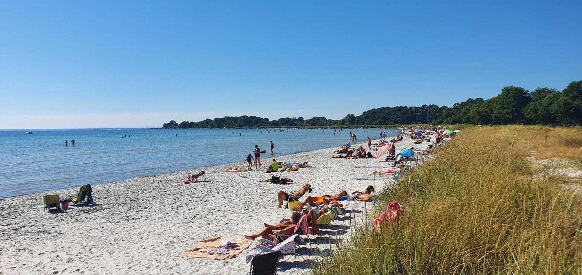 Njut Av Solen, Havet, Stranden! Сельвесборґ Екстер'єр фото